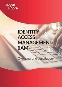 IAM eBook_Page_1
